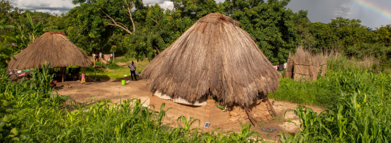 thatch huts